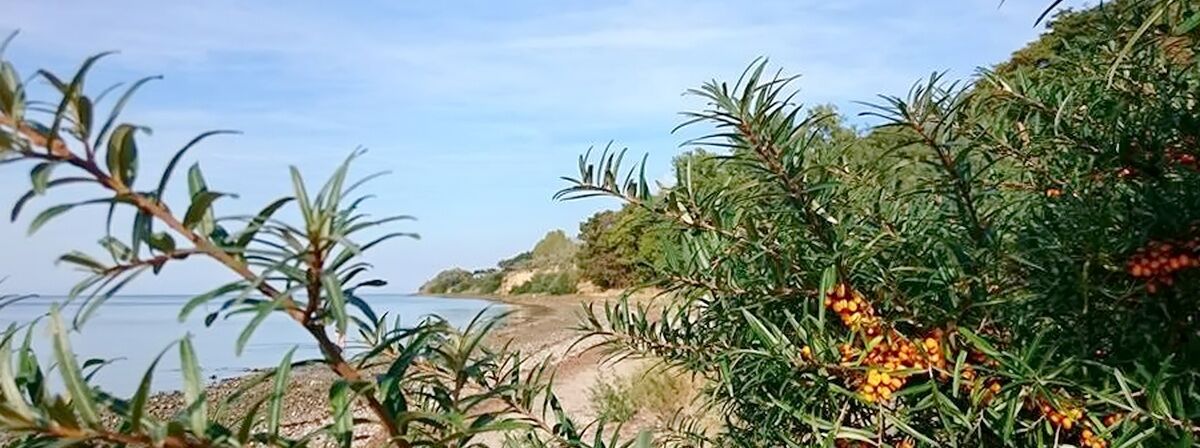 Erholen Sie sich bei langen Strandspaziergängen!